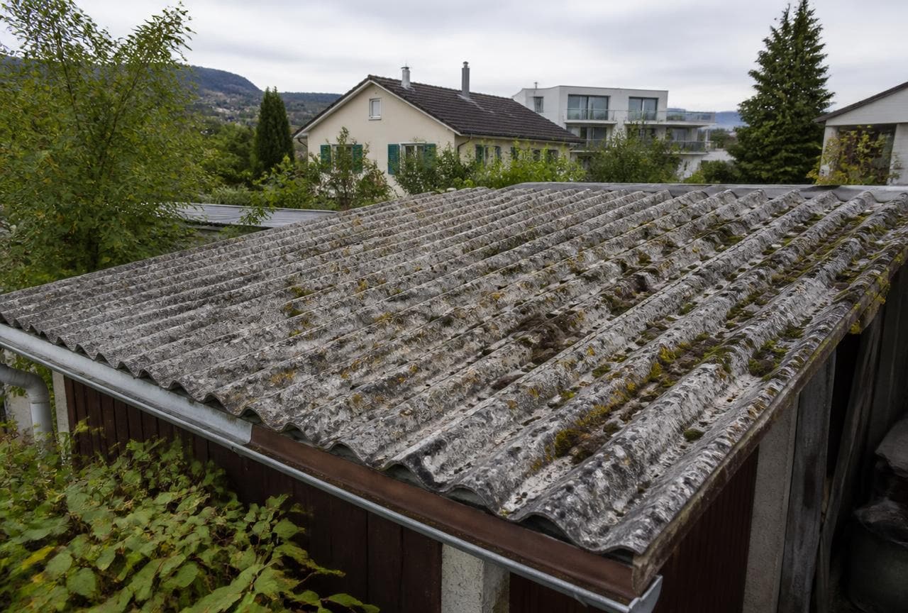 Verwittertes Wellplattendach aus Asbestzement mit Moosbewuchs auf einem Gartenhaus