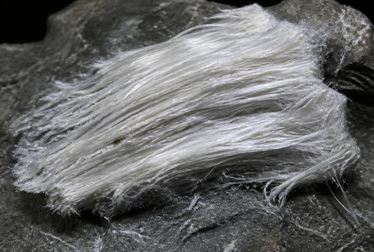 Weisse seidig glänzende Chrysotil-Asbestfasern als Rohmineral auf grauem Gestein