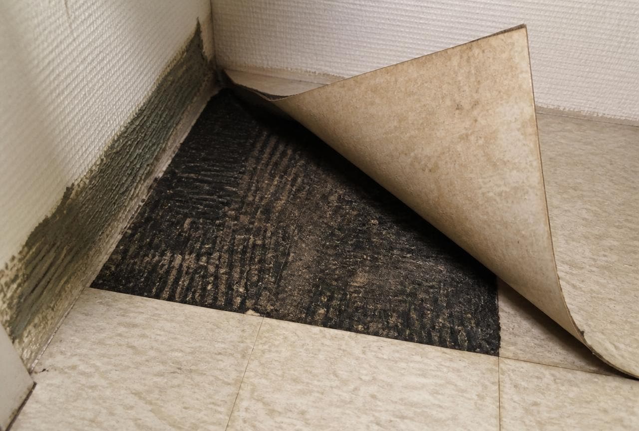 Hochgeklappter Vinylbodenbelag mit schwarzem Bitumenkleber und Kleberresten an der Wandkante